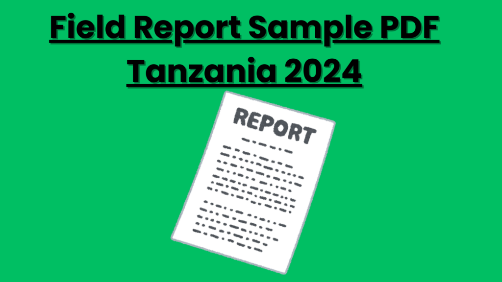 Field Report Sample PDF Tanzania 2024 Usaili