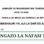 Dar es Salaam City Council
