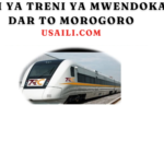 Nauli ya treni ya mwendokasi dar to morogoro