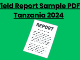 Field Report Sample