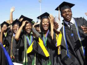 Law Diploma Colleges in Tanzania