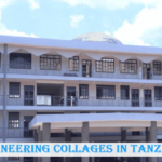 Engineering Collages In Tanzania