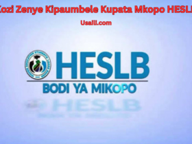 Mkopo HESLB