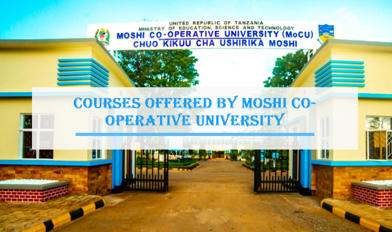 Courses Offered by Moshi Co-operative University