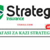 Strategis Insurance