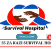 Survival Hospital