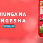 Jinsi ya Kujiunga na Huduma ya Songesha ya Vodacom