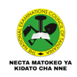 Matokeo ya Kidato Cha Nne 2024