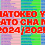 Shule zilizo ongoza matokeo ya kidato cha nne 2024/2025