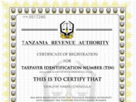 Jinsi ya Kupata TIN Number