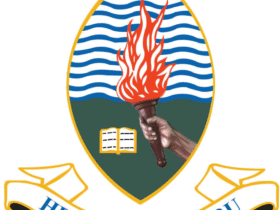 UDSM Courses offered and Fees