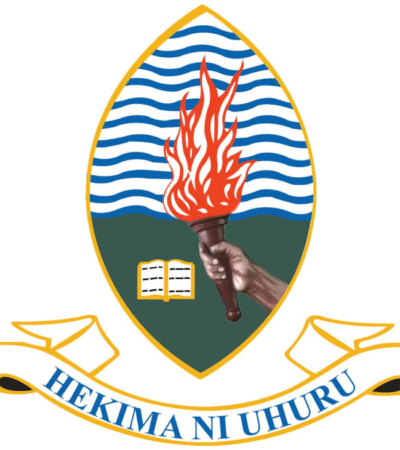 UDSM Courses offered and Fees