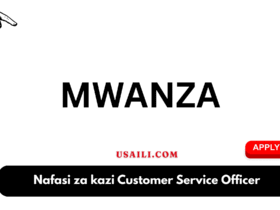 Nafasi za kazi Customer Service Officer